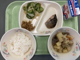 給食写真