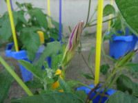 DSC08262