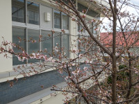DSC06615