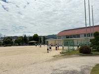 IMG_8506