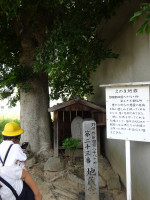 DSC06015