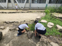 20250616_130051 (1)