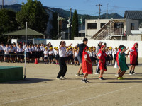 DSC06250